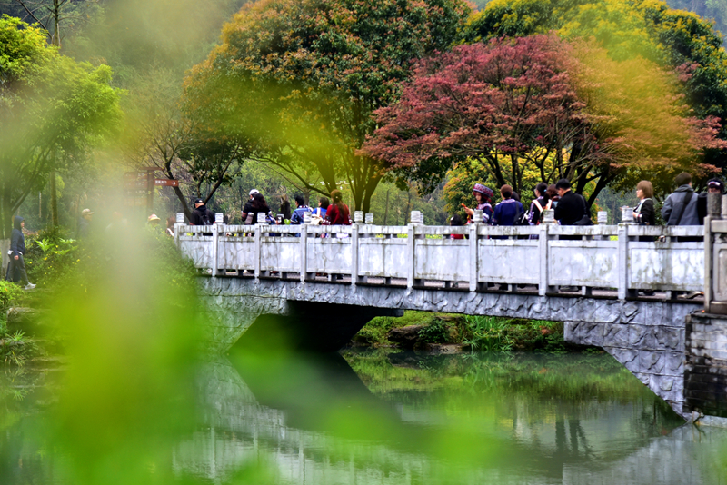 清明游玩黃龍洞，不負滿園好春光（組圖）